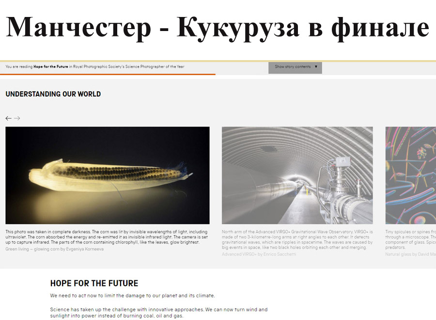 Выставка в Манчестере — RPS Science Photographer, Евгения Корнеева